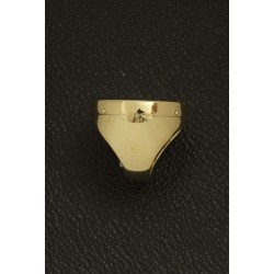 Anello Montatura per Moneta